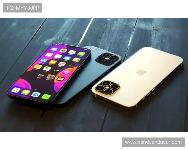 尊龙手机官方地址查询指南，确保用户安全访问官方平台的详细步骤